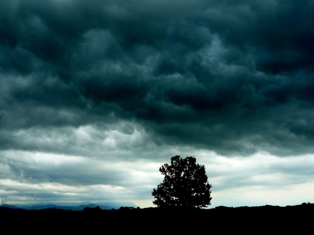 Rain-clouds-tree-storm-landscape-darkness-365-2009-07