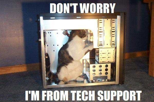 cat-tech-support1