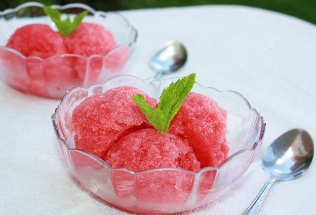 Watermelon Sorbet 3