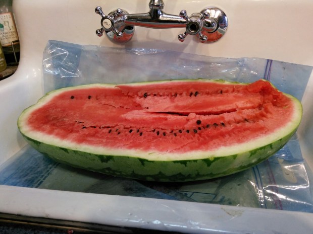 Watermelon 4 - 08.09.2014