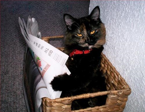 Reading on the Toilet 22 - Cropped and Retouched